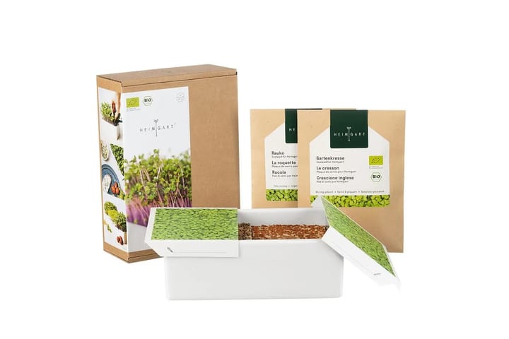 Heimgart: Ein Anzuchtsystem für Microgreens ganz ohne Erde