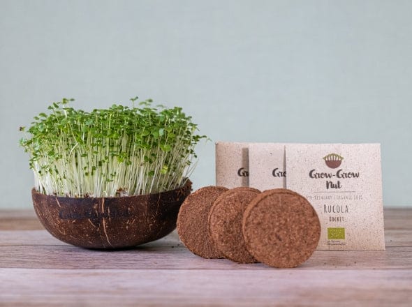 Wie Microgreens dein Immunsystem im Herbst unterstützen